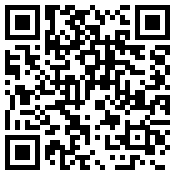 手机/微信访问网站